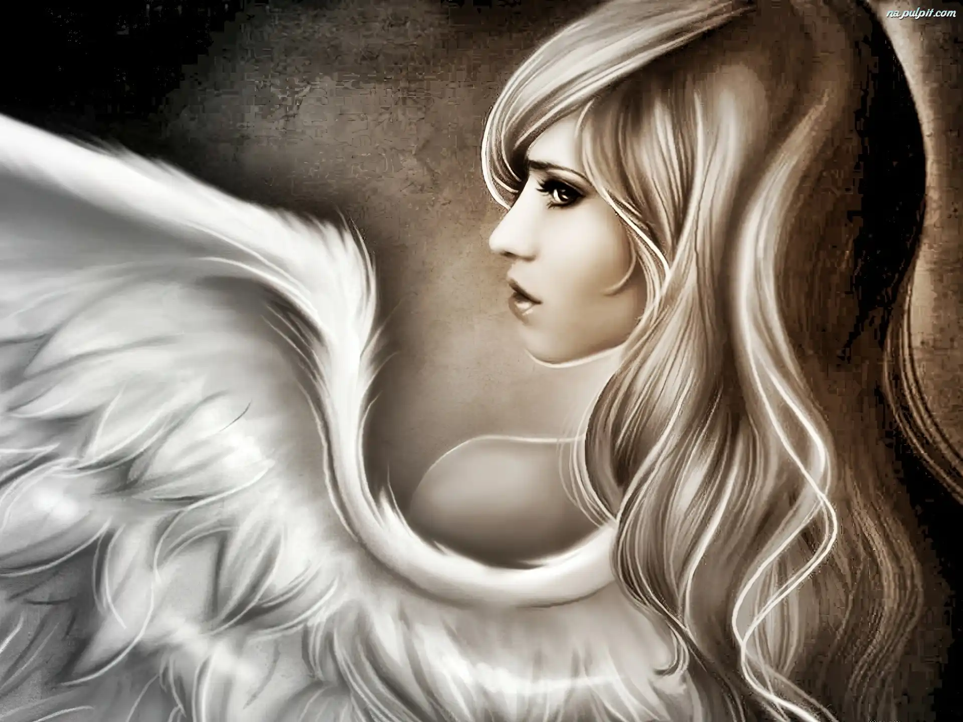 dziewczyna-aniola-srzydlo.jpeg